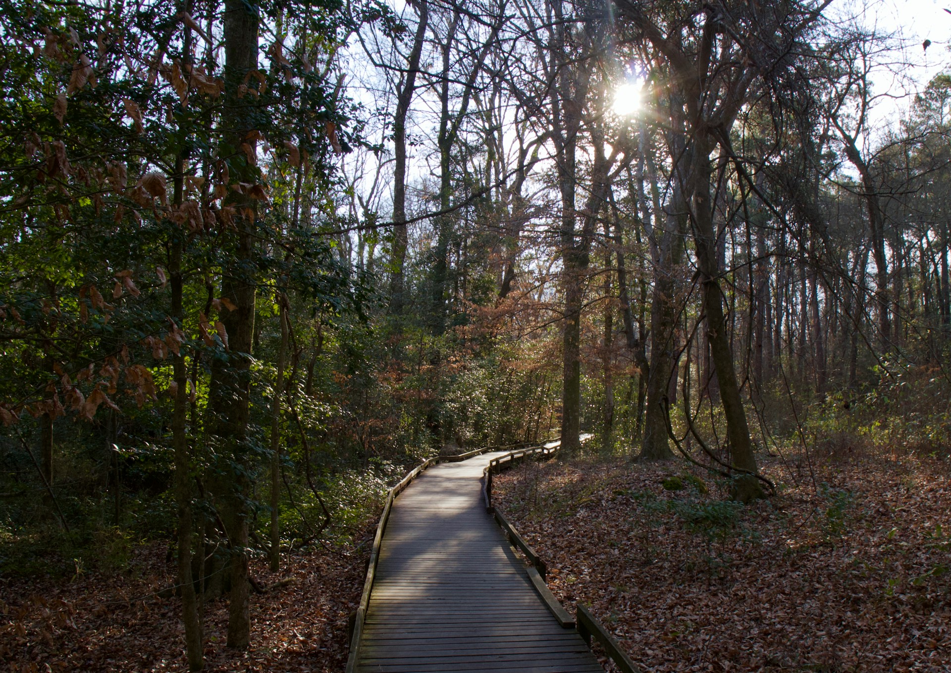 Congaree Nationalpark